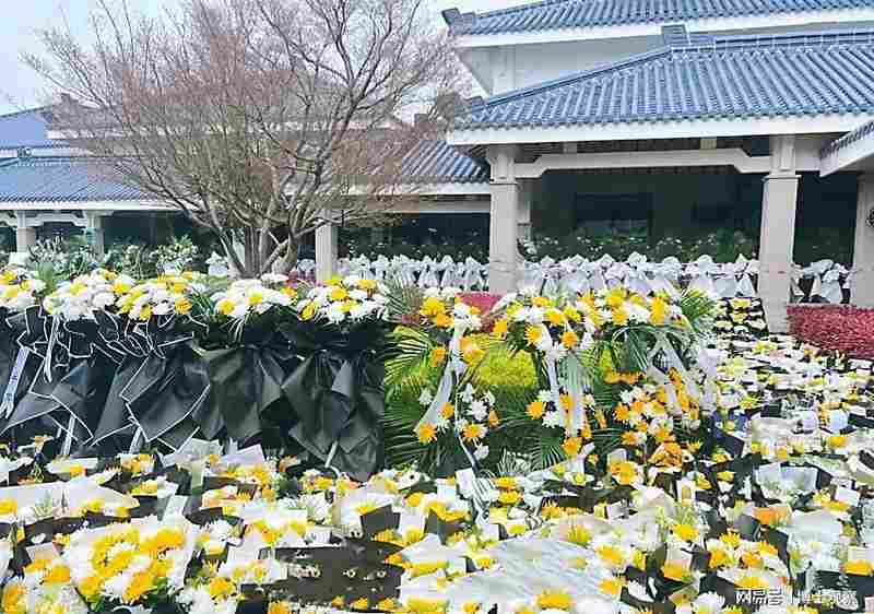 【教育赛道复盘】十七年深耕方法论:张雪峰如何重塑高考志愿咨询行业格局 教育招生