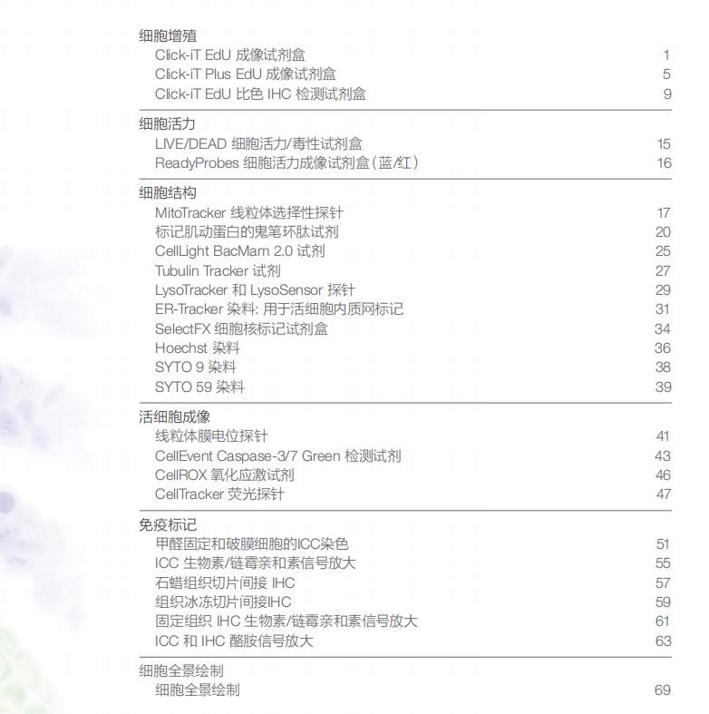 还在为免疫组化结果发愁?一位科研人的真实心路与破局经验分享 健康养生