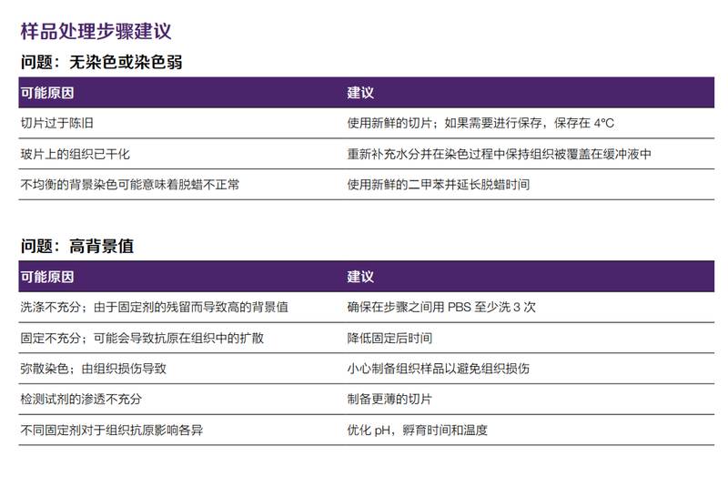 还在为免疫组化结果发愁?一位科研人的真实心路与破局经验分享 健康养生