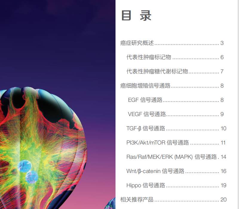 还在为免疫组化结果发愁?一位科研人的真实心路与破局经验分享 健康养生