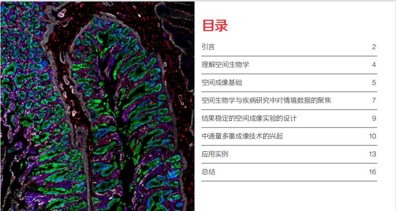 还在为免疫组化结果发愁?一位科研人的真实心路与破局经验分享 健康养生