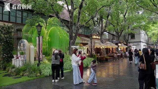 为什么上海今年春天的花,让所有人忍不住掏腰包? 时尚用品