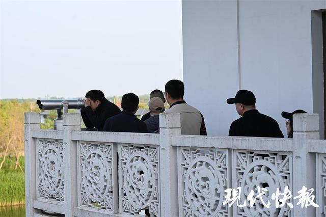 【生态修复技术】从盐碱荒滩到天然氧吧:盐城黄海森林的绿色奇迹 文化旅游 【生态修复技术】从盐碱荒滩到天然氧吧:盐城黄海森林的绿色奇迹 文化旅游