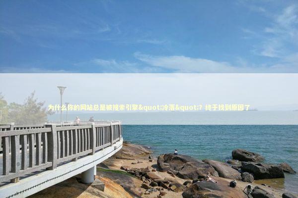 为什么你的网站总是被搜索引擎"冷落"?终于找到原因了 为什么你的网站总是被搜索引擎"冷落"?终于找到原因了 IT技术
