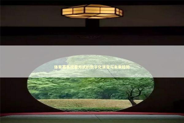 体育赛事观看方式的数字化演变与未来趋势