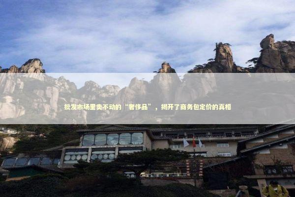 批发市场里卖不动的“奢侈品”，揭开了商务包定价的真相
