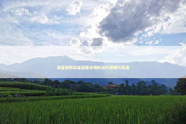 深度剖析高端货源市场的运作逻辑与机遇 深度剖析高端货源市场的运作逻辑与机遇 企业服务