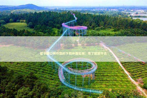 留学圈口碑炸裂的下载神器实测:用了就回不去 留学圈口碑炸裂的下载神器实测:用了就回不去 IT技术